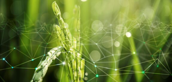 agricoltura-iot-con-sfondo-di-risaie_1 agricoltura-iot-con-sfondo-di-risaie_1
